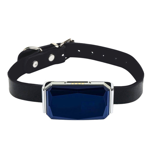 G12 Pet Locator Collar with Free Tent